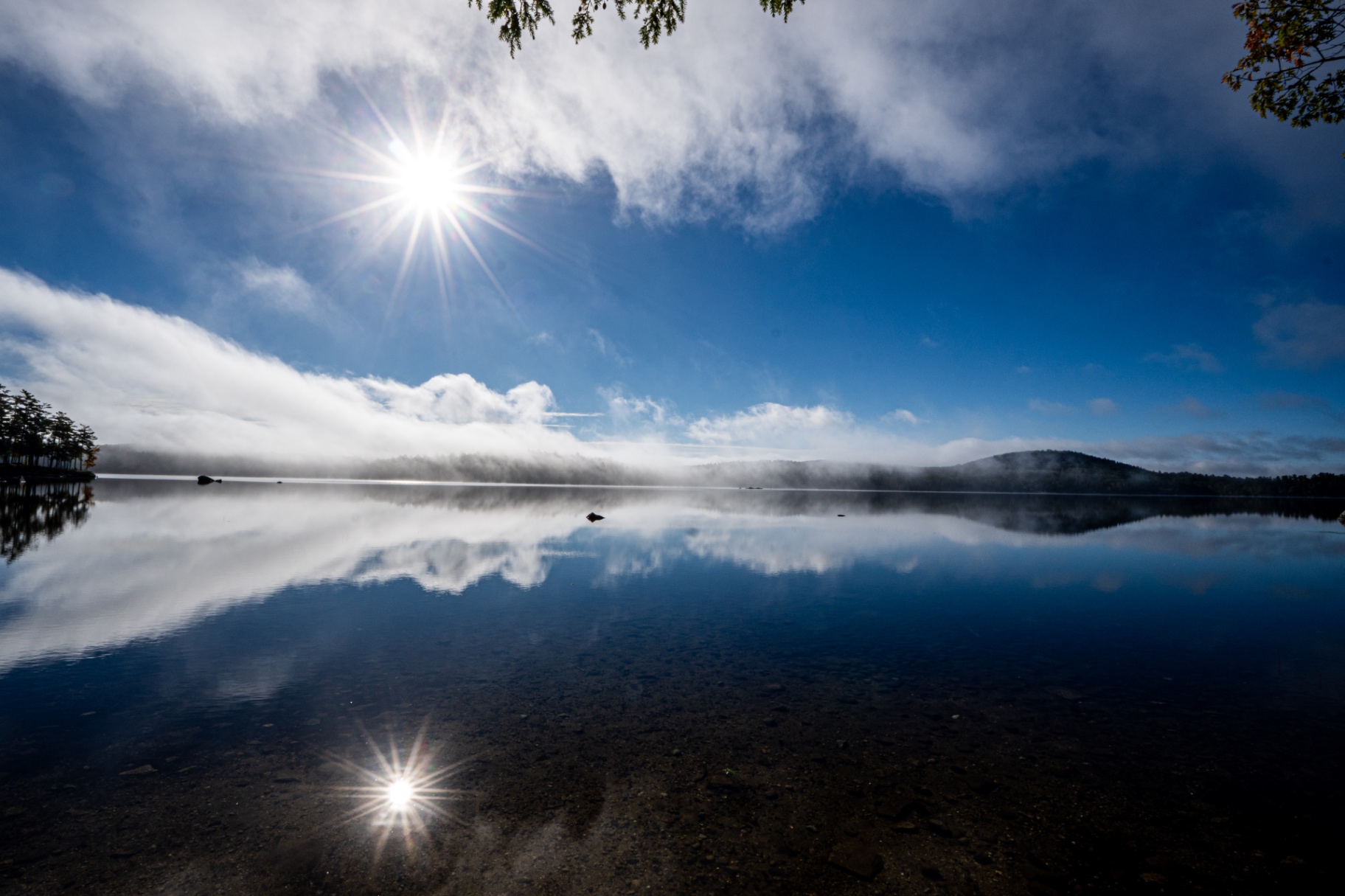 Morning Fog on the Lake