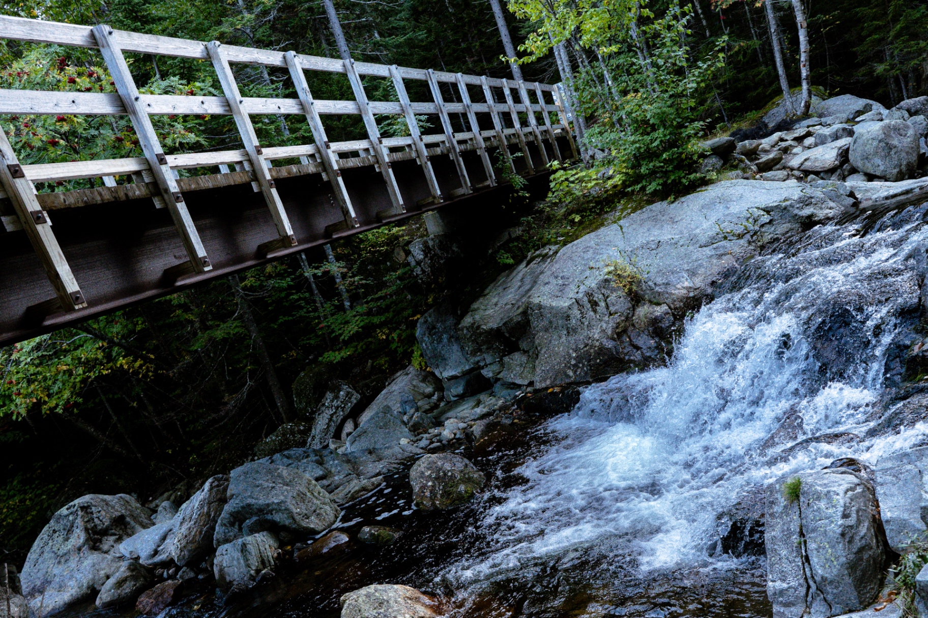 Footbridge Over the Rapids
