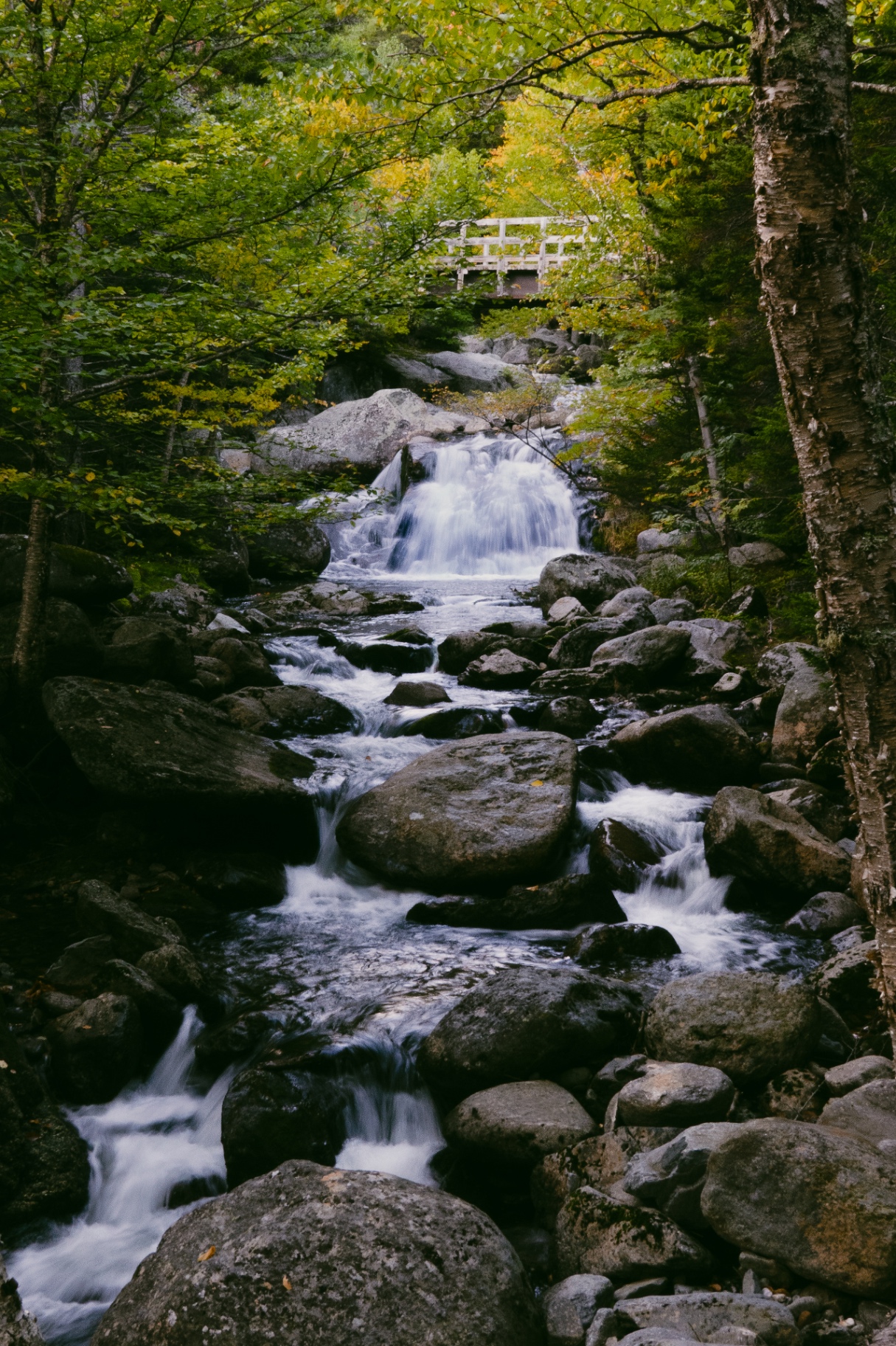 Bridge Above the Falls